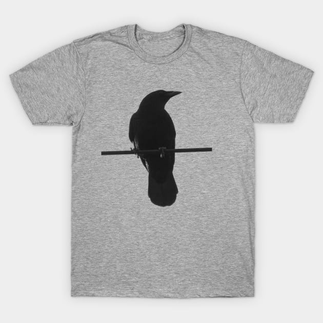 crow on a wire T-Shirt by Electric Mermaid